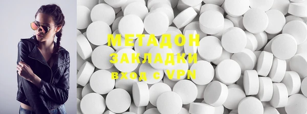 прущие грибы Алзамай