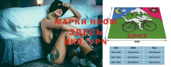 прущие грибы Алзамай