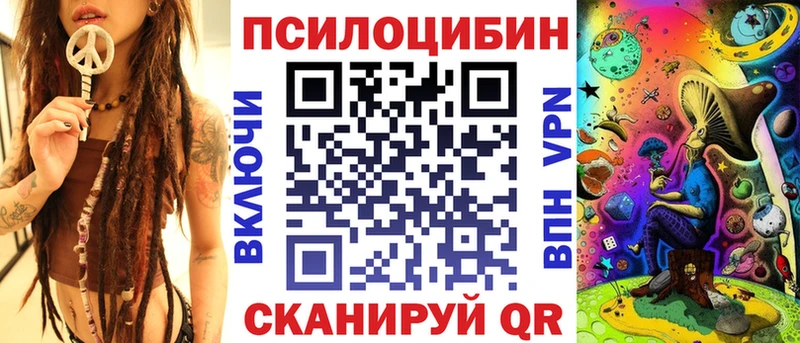 Псилоцибиновые грибы Cubensis  цены   Таштагол 